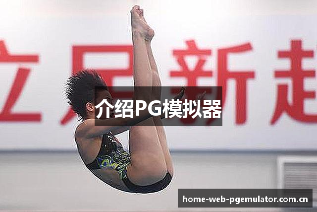 介绍PG模拟器